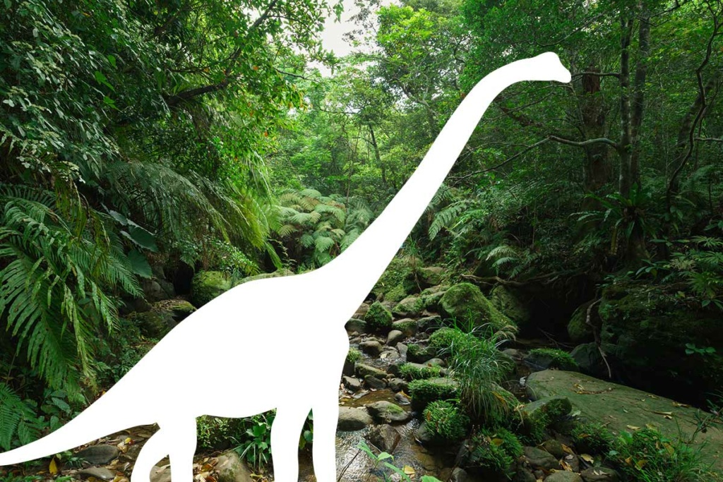 jurassicplant8-1024x683